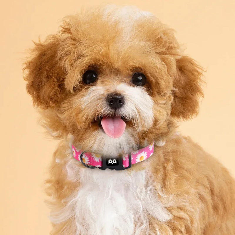 QQPETS Adjustable Soft Dog Collar: Print Flower Pink Multicolor Cute Patterns for XS Small Medium Large Pet Girl Boy Puppy Walking Running Training (XS, Small Daisies) - Image 2